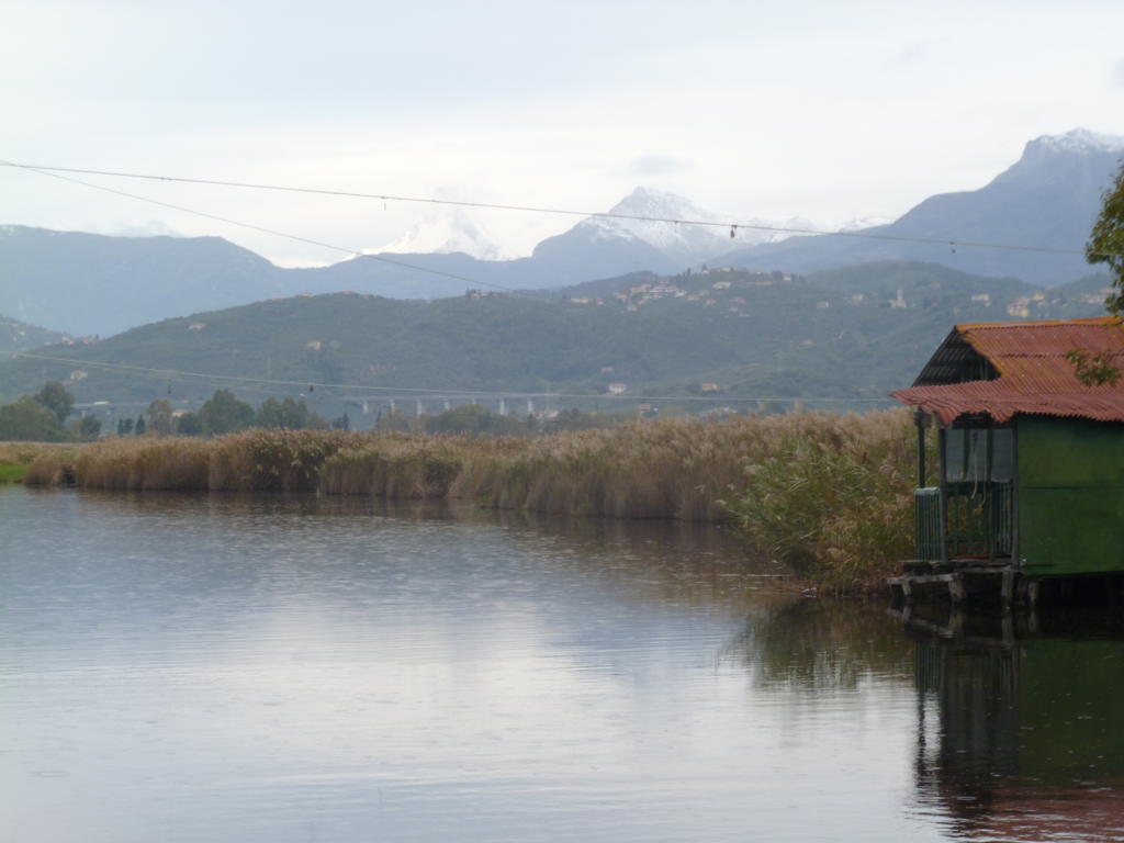 Le Ginestre B & B Massarosa Exterior foto