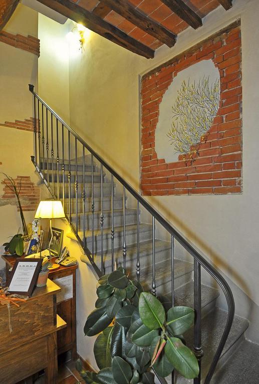 Le Ginestre B & B Massarosa Exterior foto